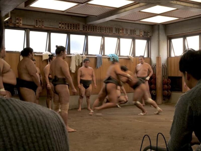 Tokyo: Sumo Practice Tour with Ring-Side Seat and Photoshoot - Who Would Love This Tour?