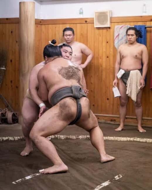 Tokyo: Sumo Show and Experience in Shinjuku - Good To Know