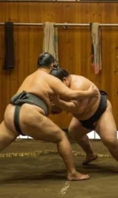 Tokyo: Sumo Show and Experience in Shinjuku - An Overview of the Experience