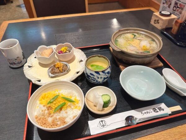 Tokyo: Sumo Tour With Premium Sumo Tournament Ticket - The Sum Up