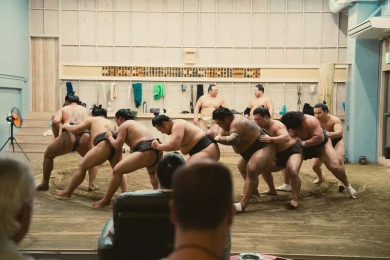 Tokyo: Sumo Training Experience with Real Sumo Wrestlers - Analyzing the Value