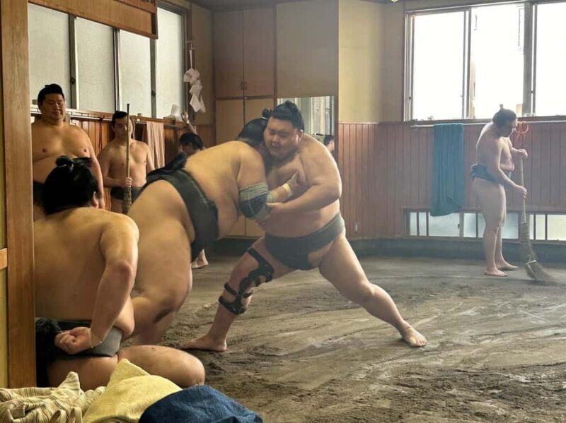 Tokyo: Sumo Wrestler Morning Practice Tour & Photos - FAQs