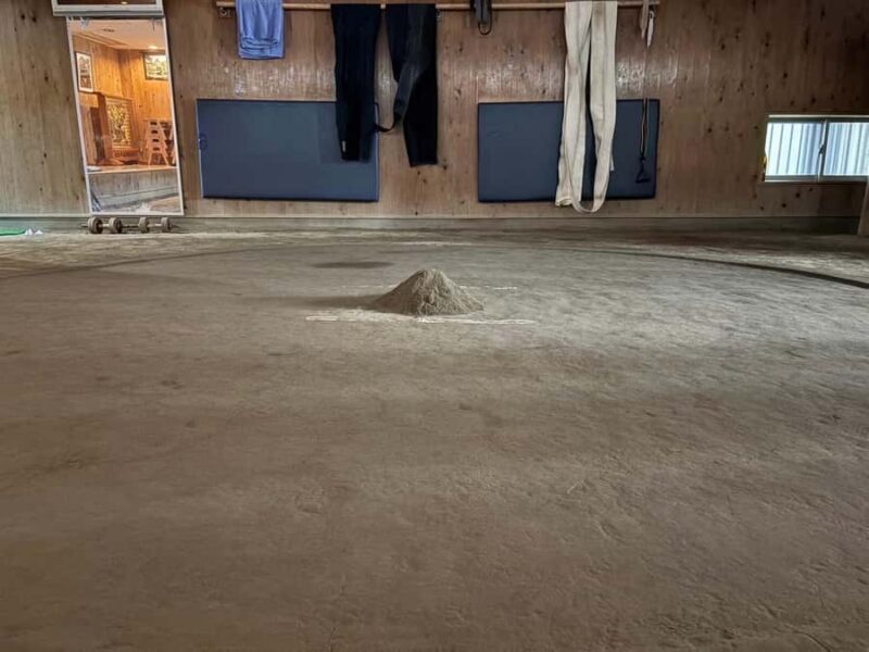 Tokyo: Sumo Wrestling Experience with Former Wrestlers - Good To Know