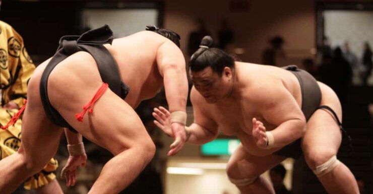 Tokyo: Sumo Wrestling Tournament A-Class Seat & Interpreter - Good To Know