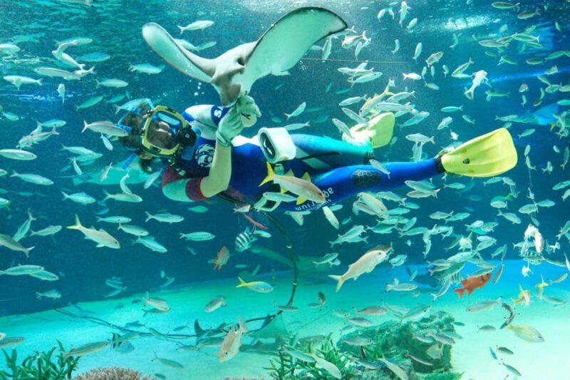 Tokyo: Sunshine Aquarium Entry Ticket - An In-Depth Look at the Sunshine Aquarium