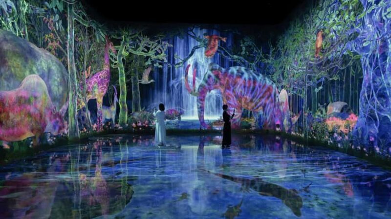 Tokyo Tailored Private Tour - Experience Highlights: A Closer Look