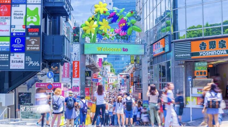 Tokyo Tailored Private Tour - FAQ