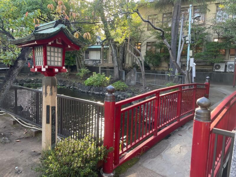 Tokyo: Taste the downtown echo and enjoy Japanese culture - Practical Considerations