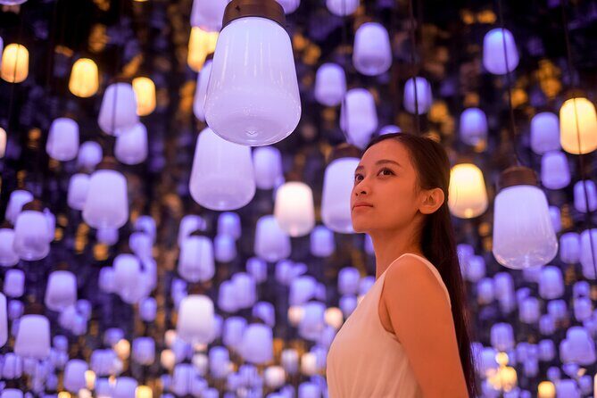 Tokyo: teamLab, Azabudai Hills & National Art Center Tour - Why This Tour Works