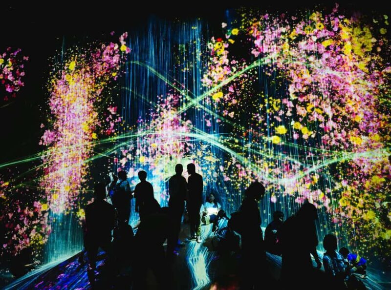 Tokyo: TeamLab Borderless & Roppongi Art Architecture Tour - Who Is This Tour Perfect For?  