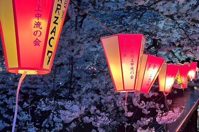 Tokyo: TeamLab Planets Admission & 24-Hour Subway Ticket - Exploring teamLab Planets: A Visual and Sensory Journey