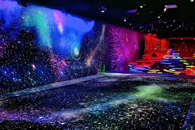 Tokyo: TeamLab Planets Admission & 24-Hour Subway Ticket - Practical Details