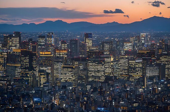 Tokyo: TeamLab Planets Admission & 24-Hour Subway Ticket - Who Should Consider This Tour?