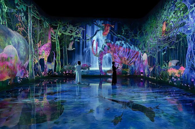 Tokyo: TeamLab Planets Admission & 24-Hour Subway Ticket - FAQ
