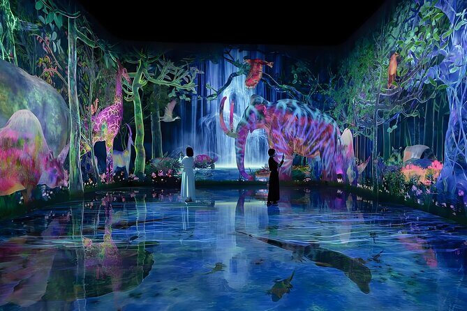 Tokyo: TeamLab Planets Admission & 24-Hour Subway Ticket - Good To Know