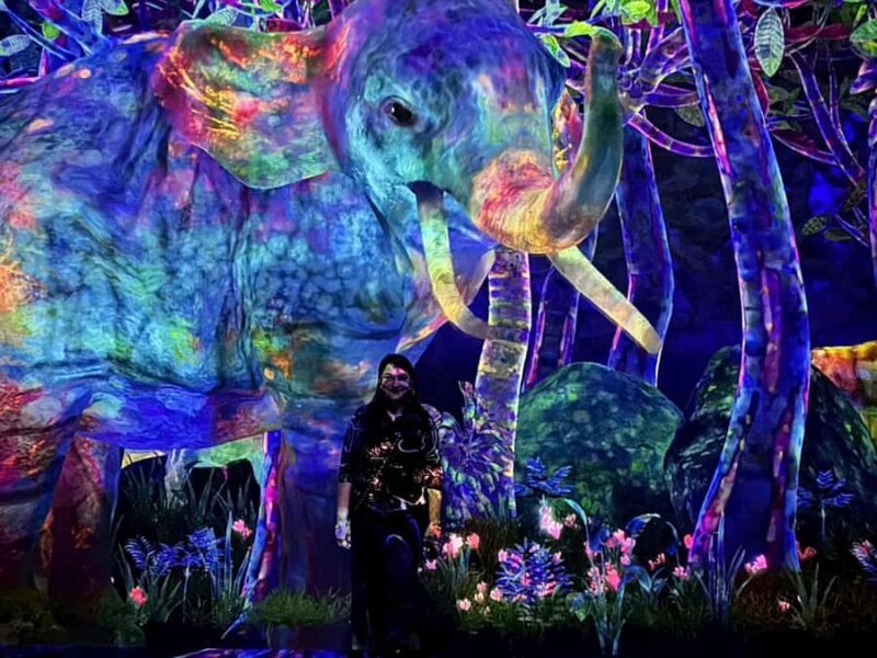 Tokyo: TeamLab Planets & Odaiba Gundam Bay Tour - Good To Know