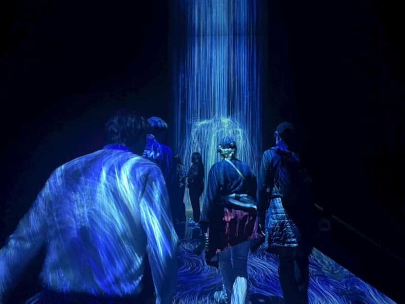 Tokyo: TeamLab Planets & Odaiba Gundam Bay Tour - The Practicalities: What to Expect and Tips  