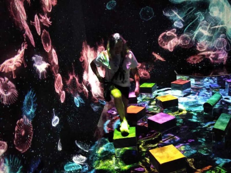 Tokyo: TeamLab Planets & Odaiba Gundam Bay Tour - FAQs  