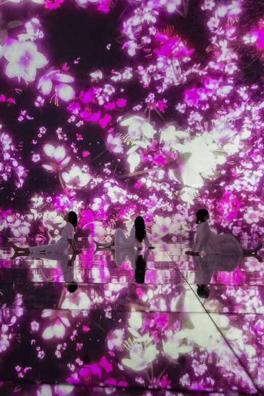 Tokyo: teamLab Planets TOKYO Digital Art Museum Entry Ticket - What the Reviews Reveal: Authentic Visitor Perspectives