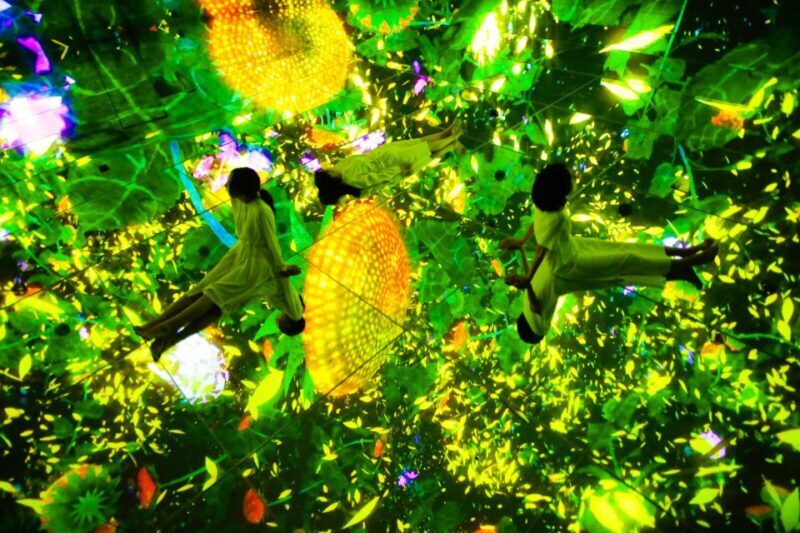 Tokyo: teamLab Planets TOKYO Digital Art Museum Entry Ticket - Authentic Feedback from Visitors