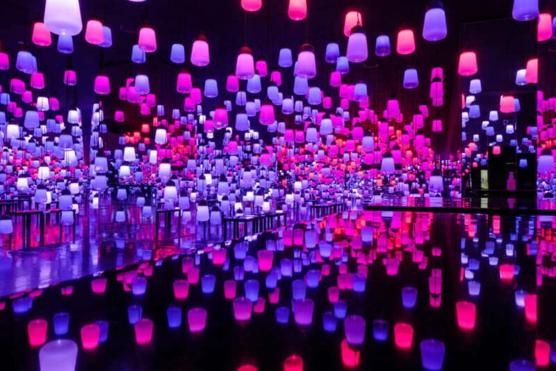 Tokyo: teamLab Planets & Toyosu Fish Market Guided Tour - Exploring Tokyo: teamLab Planets & Toyosu Fish Market Guided Tour