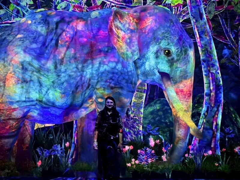 Tokyo: teamLab Planets & Toyosu Fish Market Guided Tour - Practical Details