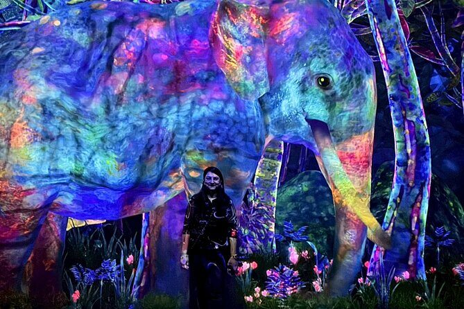 Tokyo: teamLab Planets & Toyosu Fish Market Guided Tour - An In-Depth Look at the Itinerary