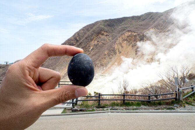 Tokyo to Hakone: Mt.Fuji, Owakudani, Oshino Hakkai, and More - Transportation & Staff Details