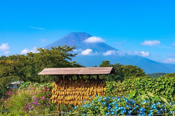 Tokyo to Hakone: Mt.Fuji, Owakudani, Oshino Hakkai, and More - The Sum Up