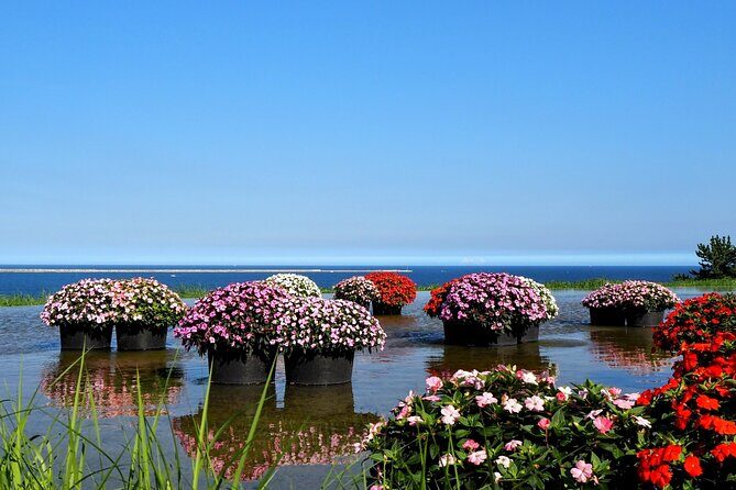 Tokyo to Hitachi Seaside Park Private Day Trip by Car - A Scenic Escape from Tokyo