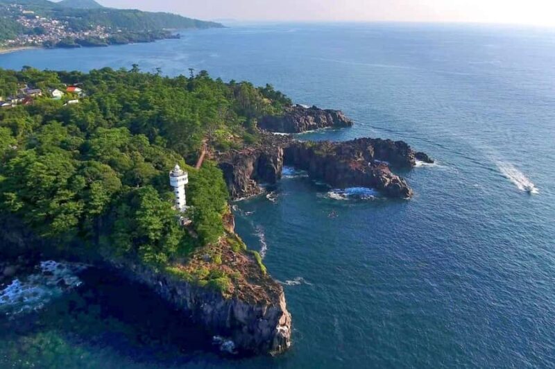 Tokyo to Izu: Kawazu Sakura Day Trip with Train & Pickup - Practical Details and What It Means for You