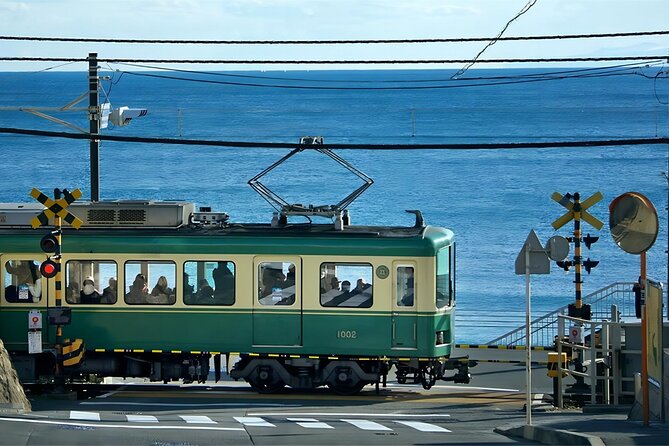 Tokyo to Kamakura: Full Day Tour to Kamakura Great Buddha - Meeting and Pickup Details