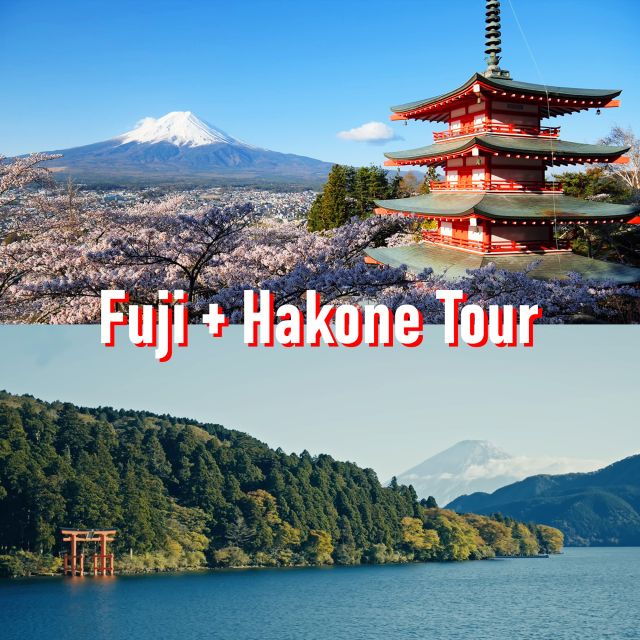 Tokyo to Mount Fuji and Hakone Private Full-day Tour - Experience Highlights