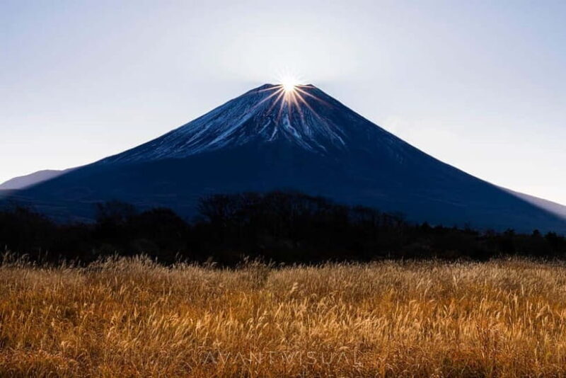 Tokyo To Mount FUJI Day Trip With English guide - A Detailed Look at the Tour Experience