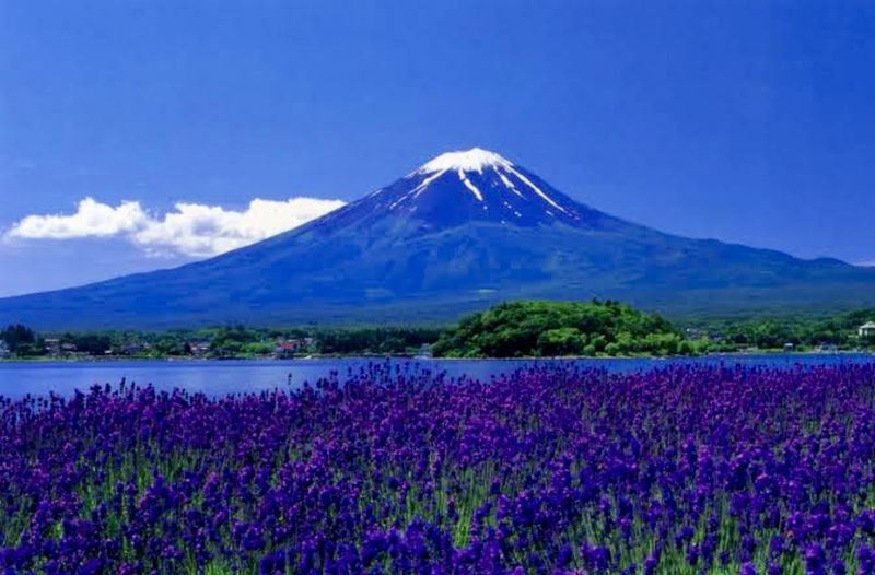 Tokyo To - Mount Fuji Day Trip With English Speaking Driver/Guide - Kachi-Kachi Ropeway and Lake Kawaguchi offer two views