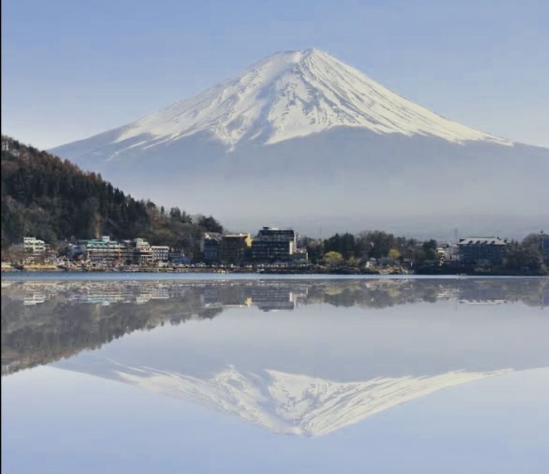Tokyo To - Mount Fuji Day Trip With English Speaking Driver/Guide - Flexibility is the tour’s strongest practical advantage