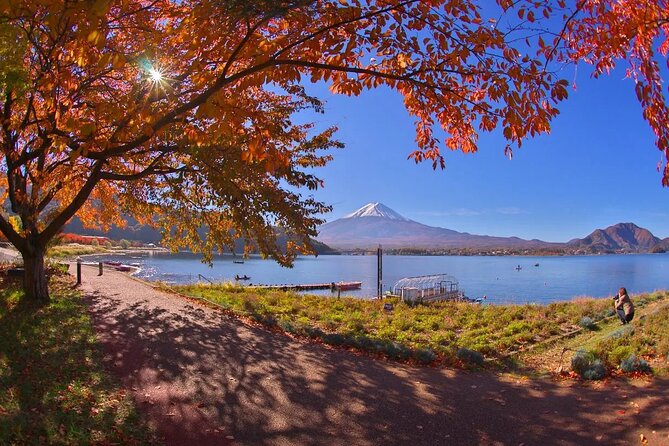 Tokyo to Mount Fuji Journey of a Lifetime Day Trip - Scenic Drive to Mount Fuji