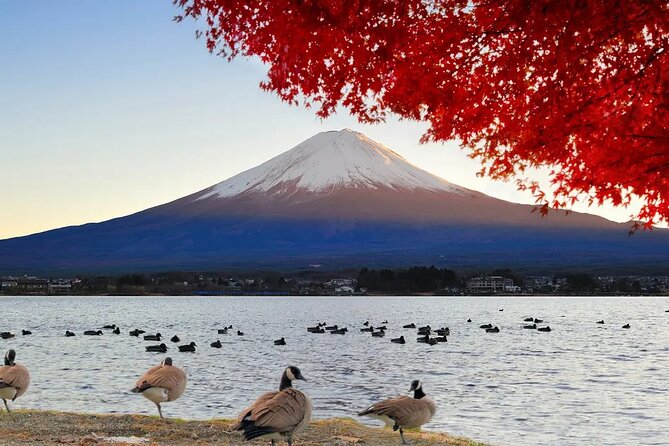 Tokyo to Mount Fuji Journey of a Lifetime Day Trip - Return Journey to Tokyo