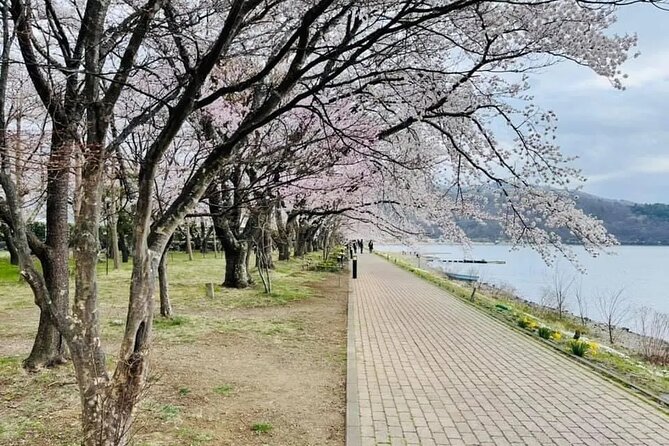 Tokyo to Mount Fuji Journey of a Lifetime Day Trip - Frequently Asked Questions