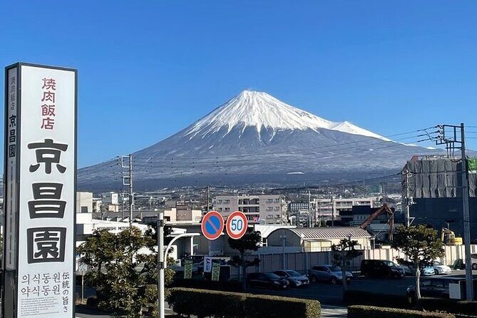 Tokyo to Mount Fuji Private Guided Experiences - What to Expect at Each Stop