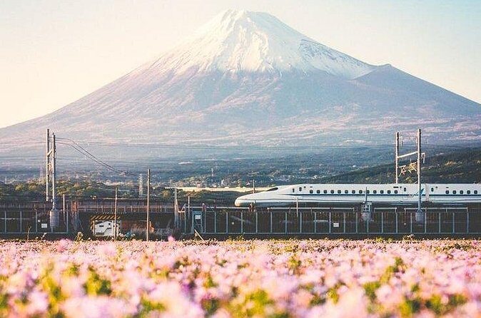 Tokyo to Mount Fuji Private Guided Experiences - FAQs