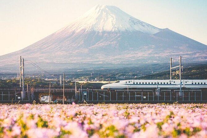 Tokyo to Mount Fuji Private Guided Experiences - Good To Know  