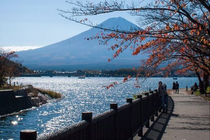 Tokyo to Mount Fuji Private Guided Experiences - The Benefits of Private Transportation