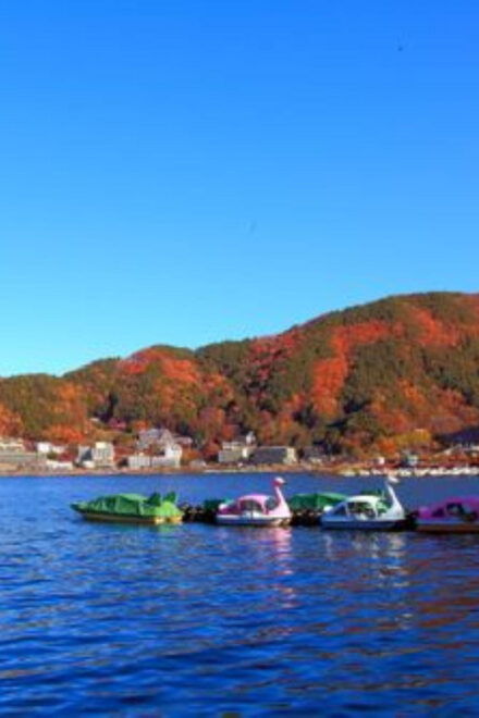 Tokyo to Mt. Fuji Area/Kawaguchiko Transfer Service - Capacity Details
