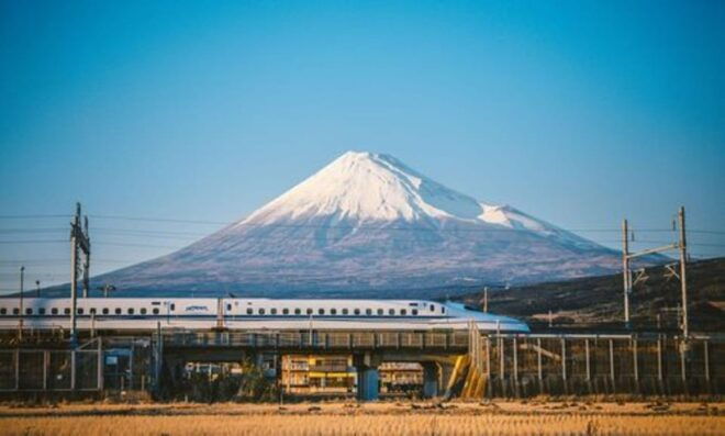 Tokyo to Mt. Fuji Area/Kawaguchiko Transfer Service - Professional Drivers