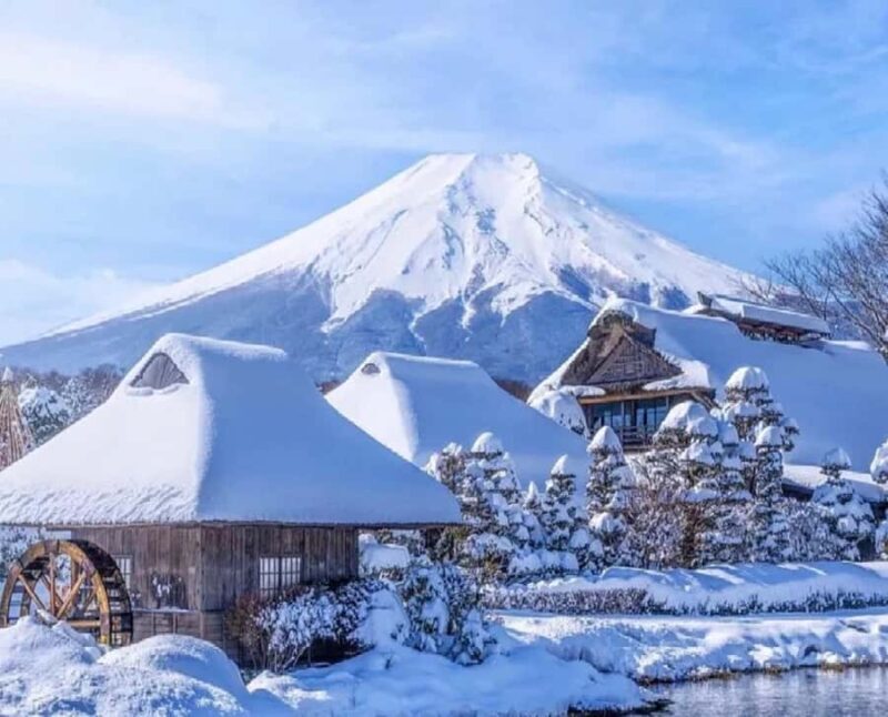 Tokyo To Mt.Fuji Day Trip With 6 Must-visit Scenic Spots - Final Thoughts