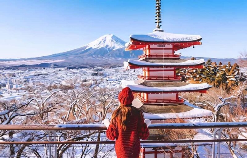 Tokyo To Mt.Fuji Day Trip With 6 Must-visit Scenic Spots - Good To Know