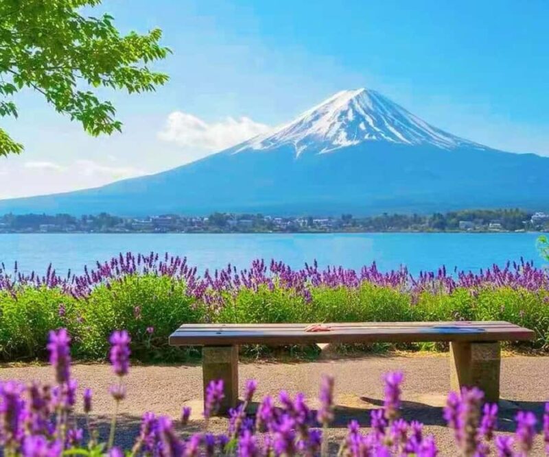 Tokyo To Mt.Fuji Day Trip With 6 Must-visit Scenic Spots - FAQs