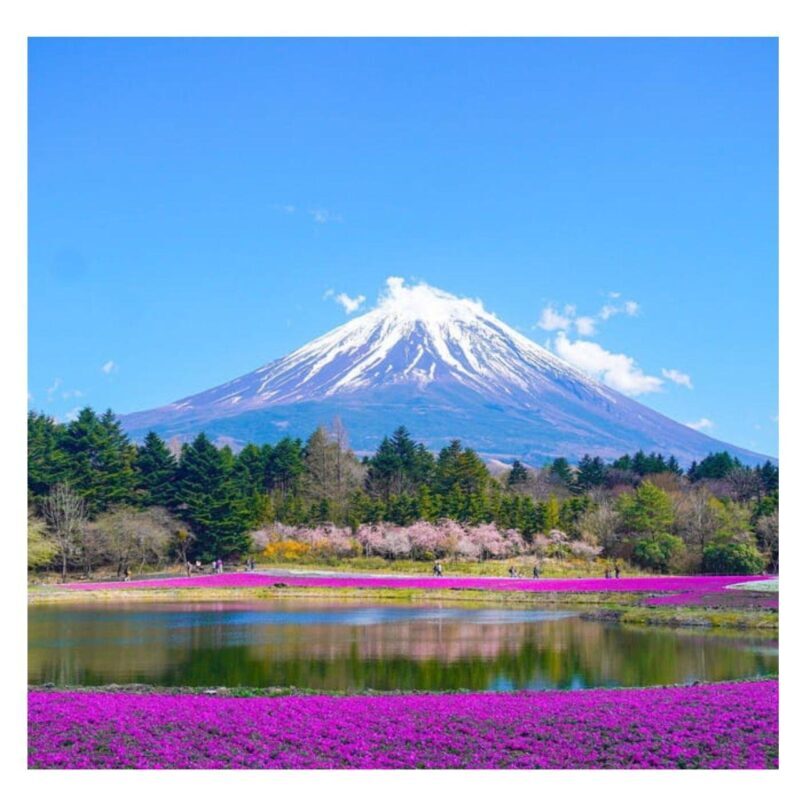 Tokyo to Mt. Fuji & Hakone: Private Customizable Day Trip - Authentic Reviews: What Travelers Say