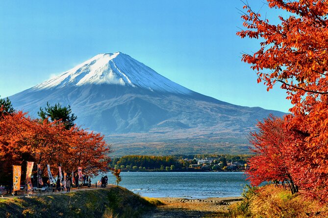 Tokyo to Mt Fuji, Oshino Hakkai: 1-Day Group Tour and Shopping - Pricing and Value